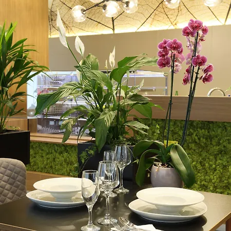 كونسيبت ريزيدنس فندق